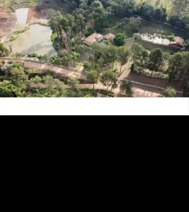fazenda regiao MG