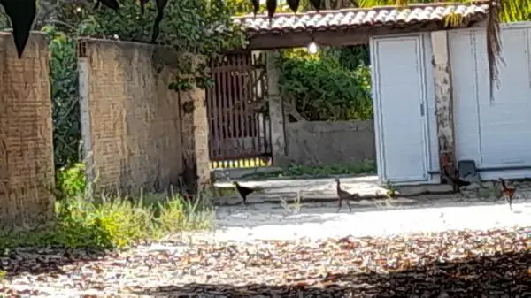 LOTE EUSÉBIO CEARÁ
