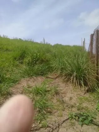 Venda de Terreno com Projeto para Chacará