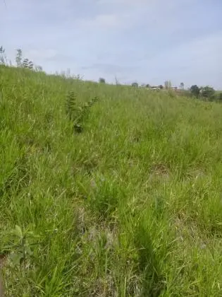 Venda de Terreno com Projeto para Chacará