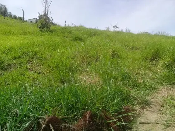Venda de Terreno com Projeto para Chacará
