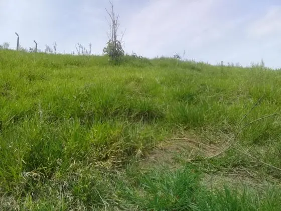Venda de Terreno com Projeto para Chacará