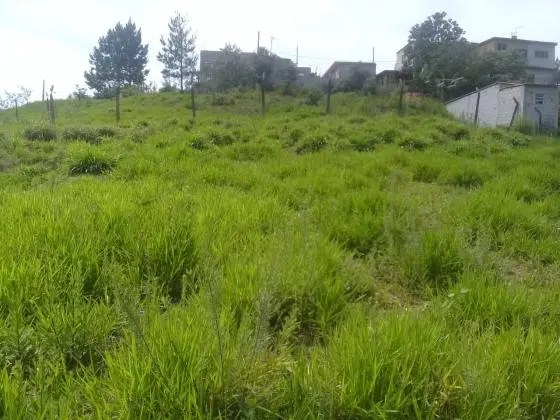 Venda de Terreno com Projeto para Chacará