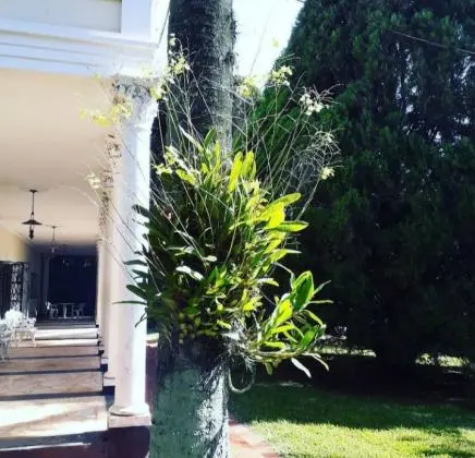 Mansão à venda no centro de Itapira-SP