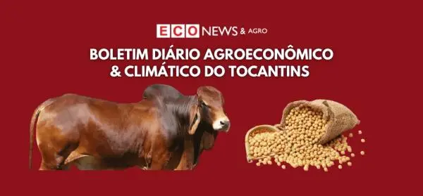 PORTAL ECO NEWS & AGRO