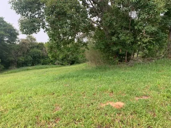Terreno 1238m - Condominio Fechado Ninho Verde 2 - Rod Pres Castello Branco
