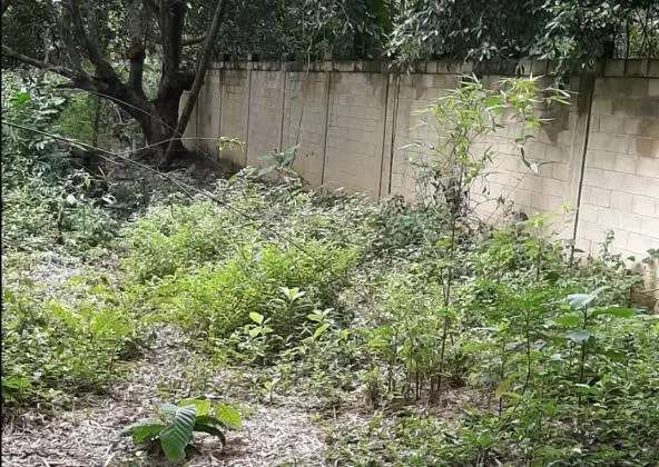 Terreno para sítio em Campo Grande