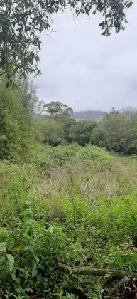 Terreno/Lote localizado em Imbituba-Sc