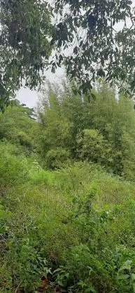 Terreno/Lote localizado em Imbituba-Sc