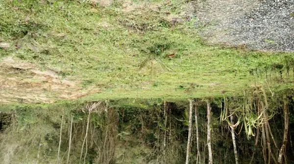 Chácara