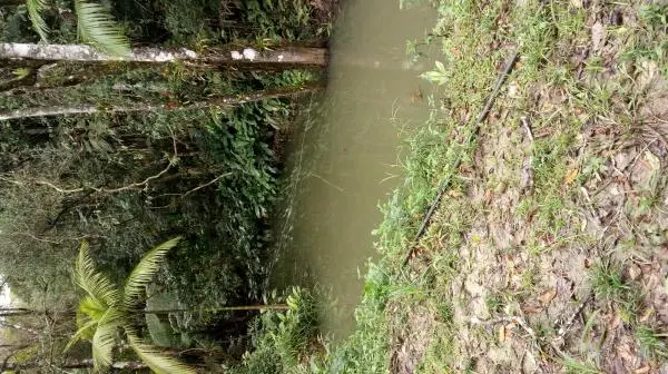 Chácara