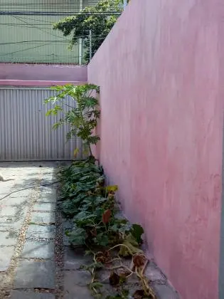 Pechincha - Vendo casa