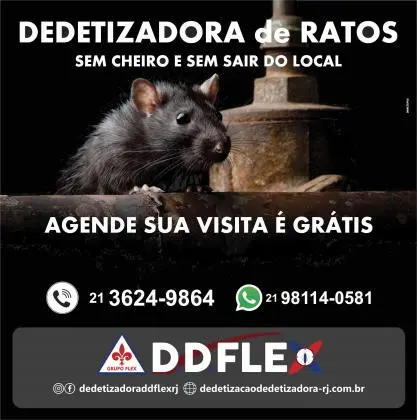 Desratização: Ratos e Ratazanas - RIO(Zona Norte)