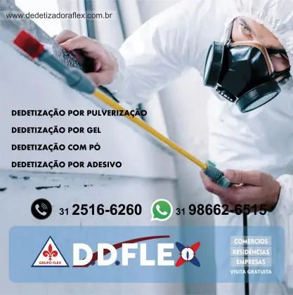 DOR DE CABEÇA COM INSETOS NA SUA REGIÃO : BARREIRO ?