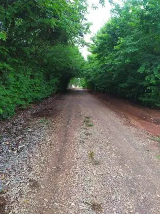 Excelentes Lotes em Condomínio Rural