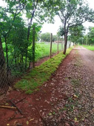 Excelentes Lotes em Condomínio Rural