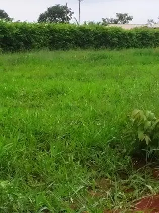 Excelentes Lotes em Condomínio Rural