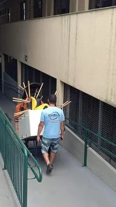 Transporte de Mudanças