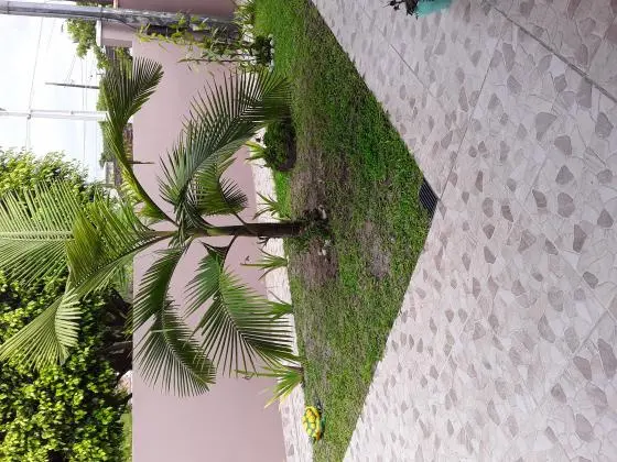 Vendo Casa na Praia