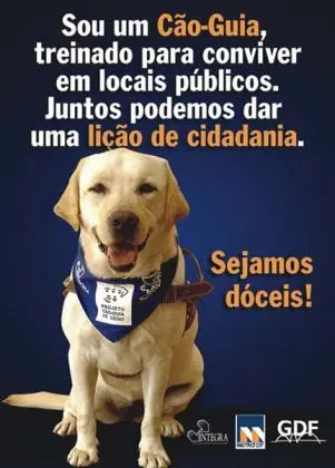 Adestramento canino - amigo cão formado