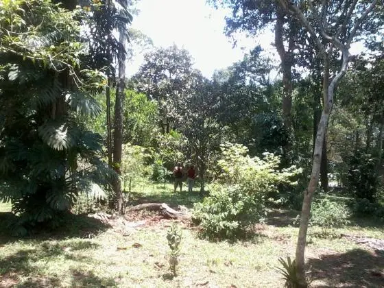 Chácara Residencial - Bairro Capivari, Riacho Grande - São Bernardo do Campo