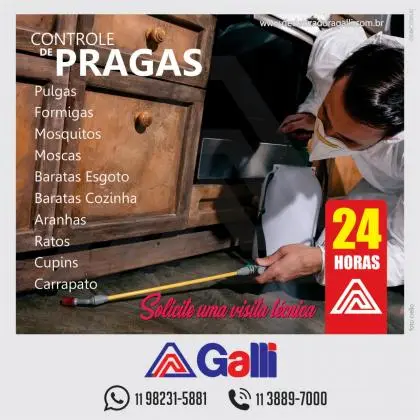 Dedetização para residências, comércios e empresas