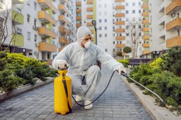 Empresa de Dedetização  - Excelência em Qualidade   https://www.dedetizadoramooca.com.br/