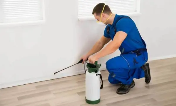 Empresa de Dedetização  - Excelência em Qualidade   https://www.dedetizadoramooca.com.br/