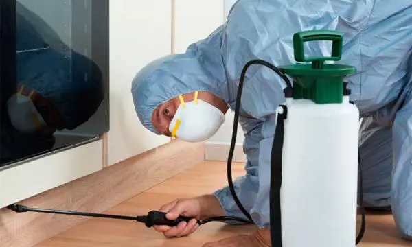 Empresa de Dedetização  - Excelência em Qualidade   https://www.dedetizadoramooca.com.br/