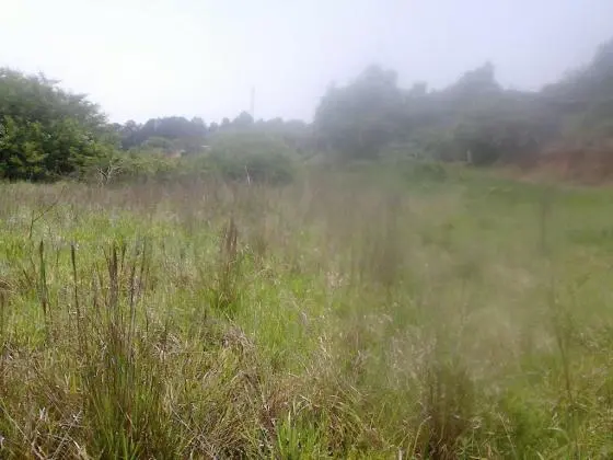 Excelente terreno na região de Cotia