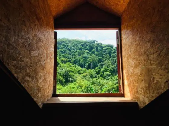 Sítio com duas casas excelentes