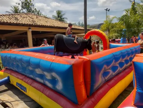 Touro Mecânico para Festas