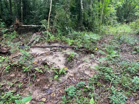 Área para Chácara