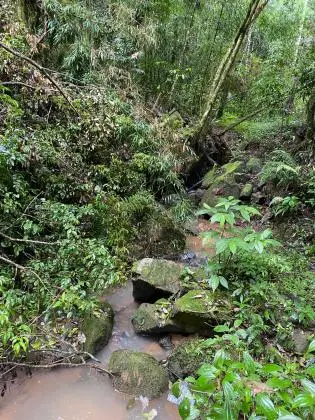 Área para Chácara