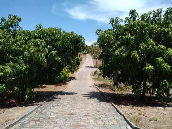 Fazenda em Beberibe-CE