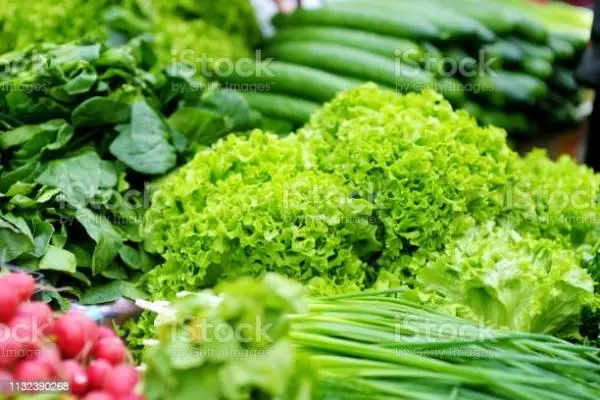 Receitas para secar em 30 dias