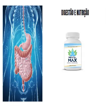 Revital Max, 60 cápsulas, 650mg