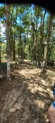 Terreno condomínio fechado-Km 68 da Rodovia Castelo Branco