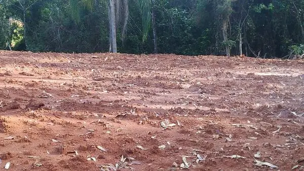 VENDE-SE TERRENO EM TIJUCAS/SC -BAIRRO OLIVEIRA -29.451m2