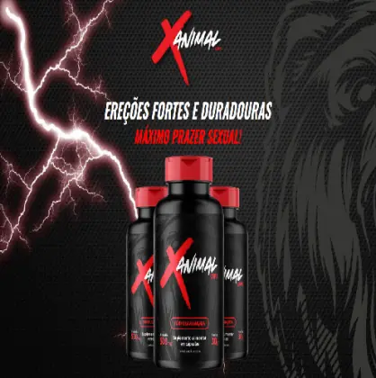 X-Animal
