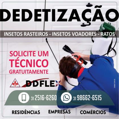 Dedetização Flex combate de insetos,ratos em Belo Horizonte