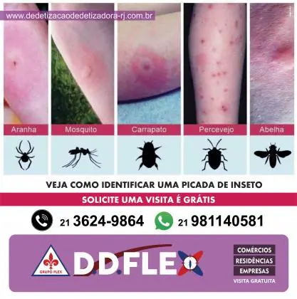 Dedetizadora de Percevejos - Pendotiba