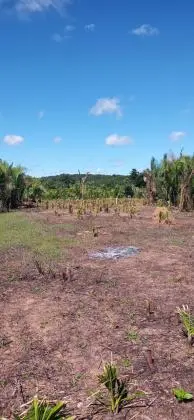 Lote 15 x 50 em Nazária