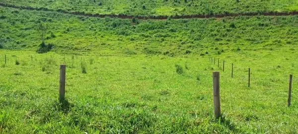 Vende-se lotes na formosa serra da Beleza!
