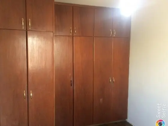 alugo apartamento 2 quartos bairro ipiranga cidade são paulo
