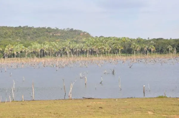 Área na beira do lago do Manso