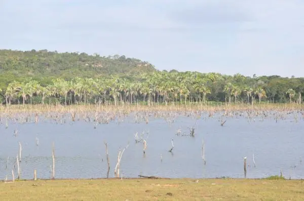 Área na beira do lago do Manso