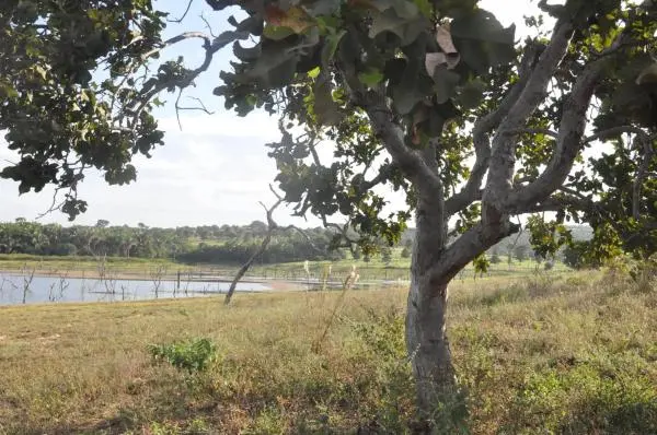 Área na beira do lago do Manso