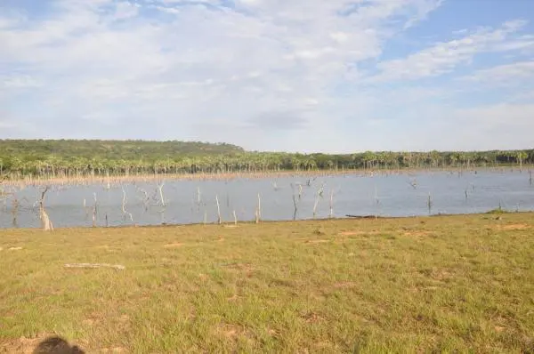 Área na beira do lago do Manso