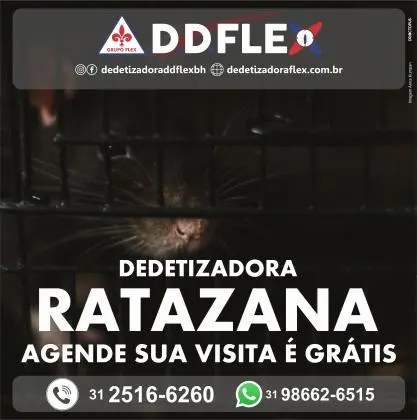 Dedetização de Ratos e Roedores - Nova Suissa